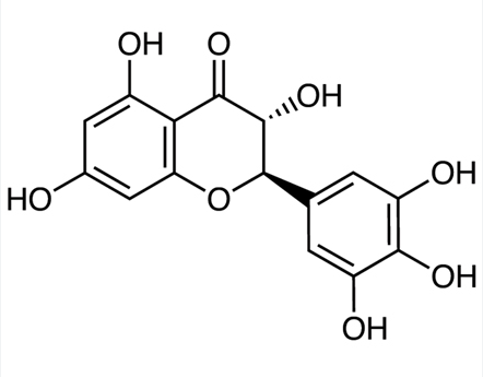 Safe and Responsible Use of Dihydromyricetin.png